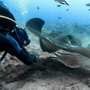 Bautismo de Buceo desde la Playa (Los Cristianos, Tenerife)