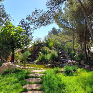 Entrada, Visita Guiada y Degustación de Aloe en Ibiza Botánico Biotecnológico - BiBo Park (San Rafael de la Cruz, Ibiza)