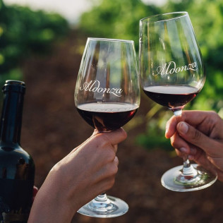 Visita a la Bodega y Almazara Aldonza Gourmet con Degustación de Cava, Vinos y Aceite AOVE para dos (Munera, Albacete)
