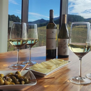 Visita Guiada con Cata de Txakolis y Degustación de Queso en Bodega Berroja (Ajuria, Vizcaya)