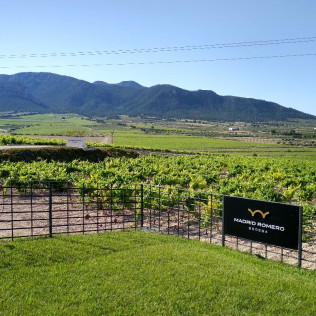Visita a Bodega Madrid Romero con Cata de 5 Vinos y Aperitivo Gourmet para dos (Balsicas, Murcia)