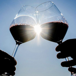 Visita a Bodega La Vinyeta y Cata de Vinos para dos (Girona)