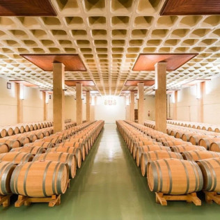 Visita a Bodegas Lozano con Cata a Ciegas (Leza, Álava)