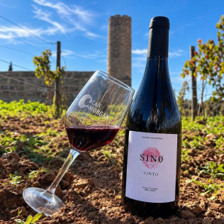 Visita Guiada y Cata de Vinos para dos en Bodega Can Morgan (Mallorca)