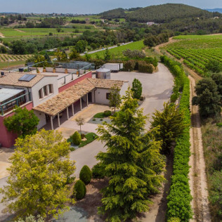 Visita a Bodega Mas Bertran con Almuerzo para dos (Sant Martí Sarroca, Barcelona)