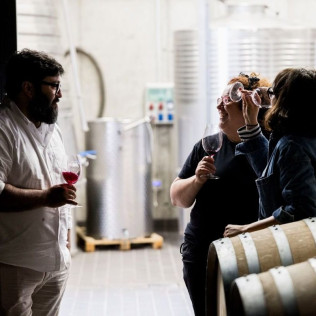 Visita a Bodega con Cata de Vinos y Aperitivo para dos en Mélida Wines (Mélida, Valladolid)