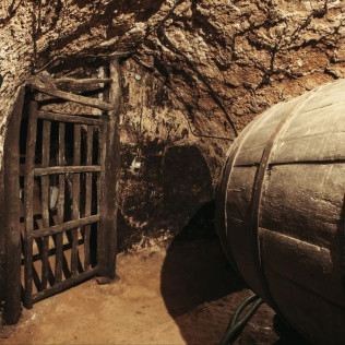 Vista a Bodega Subterránea con Cata de Vinos en Bodega Remigio Salas (Dueñas, Palencia)