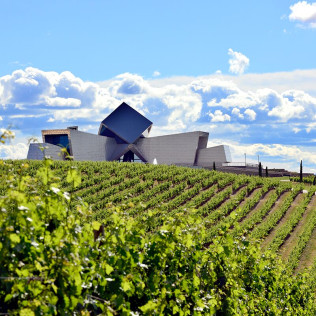 Visita a Bodega Sommos con Cata de 3 Vinos (Barbastro, Huesca)
