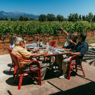 Tour, Cata y Paella: Visita con Cata y Menú Va d’Arros by Kike Martí para dos en Bodegas Ángel (Santa María del Camí, Mallorca)