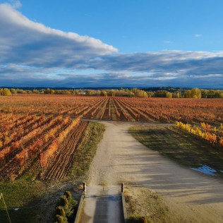 Visita Privada y Cata de Vino con Maridaje en Bodega y Viñedos Martín Berdugo (Aranda de Duero, Burgos)