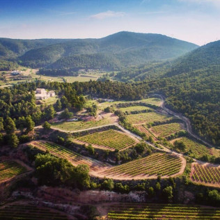 Visita Guiada en Bodegas Clos Montblanc con Cata de Vinos para dos (Tarragona)