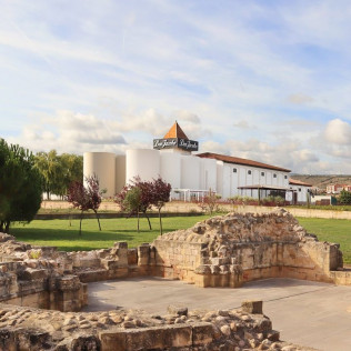 Corral Experience: Visita a Bodegas Corral y a Viñedos con Cata de Vinos y Aperitivo (Navarrete, La Rioja)
