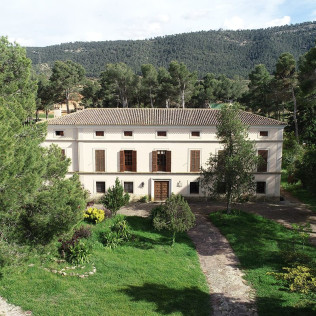 Visita a las Bodegas Los Pinos con Cata y Botella de Vino para dos (Fontanares, Valencia)