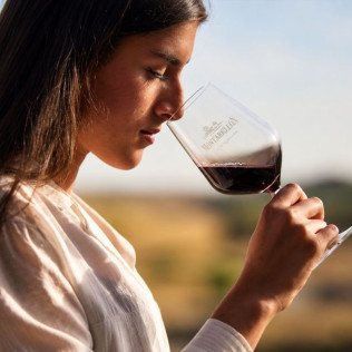 Experiencia Matambres: Visita a Bodega y Cata de Vino en Bodegas Monteabellón (Nava de Roa, Burgos)