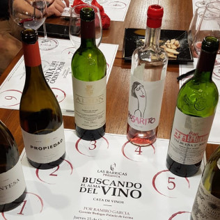 Taller de Diseño de Vinos y Visita a las Bodegas Palacio de Lerma con Cata (Burgos)