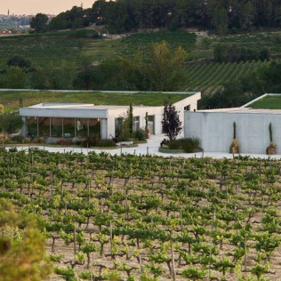 Milfulles 502: Visita a Viñedo y Bodega Pinord Mas Muntanyans con Degustación de 4 Vinos para dos (Les Masuques, Barcelona)