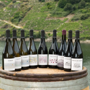 Visita a Bodega, Paseo por las Viñas, Cata de Vinos y Tapa en Ronsel Do Sil (Parada do Sil, Ourense)
