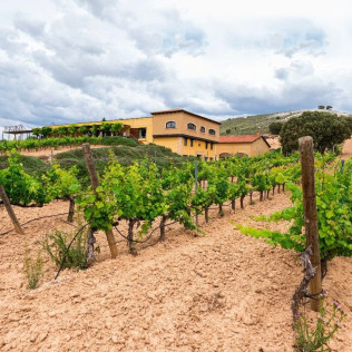 Visita a Bodegas Valdubón y Viñedos con Cata de Vinos y Maridaje para dos (Milagros, Burgos)