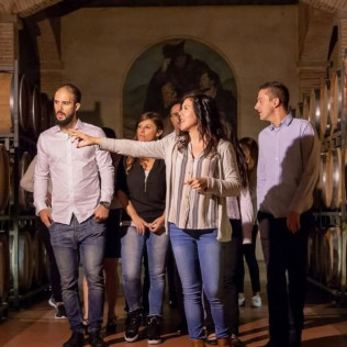 Visita a Bodegas Francisco Gómez y Museo del Aceite con Cata de Vinos, Aceite y Embutidos Ibéricos para dos (Villena, Alicante)