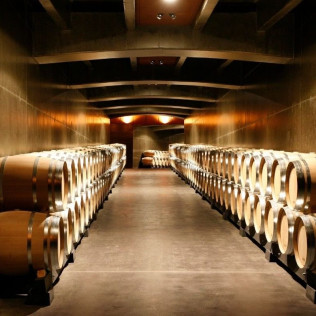 Degustación de Vino con Entrada y Visita Guiada al Museo Vivanco de la Cultura del Vino en BODEGAS VIVANCO (Briones, La Rioja)