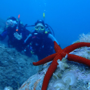 Bautismo de Buceo en el Parque Natural del Cabo de Creus (Roses, Girona)