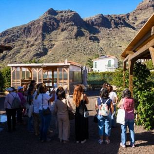 Tour y Degustación en Plantación de Café de Finca Los Castaños (Agaete, Las Palmas)