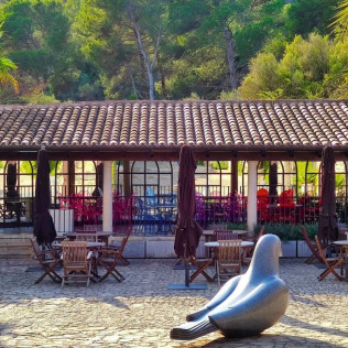 Brunch en Café La Paloma de Museu Sa Bassa Blanca (Mallorca)