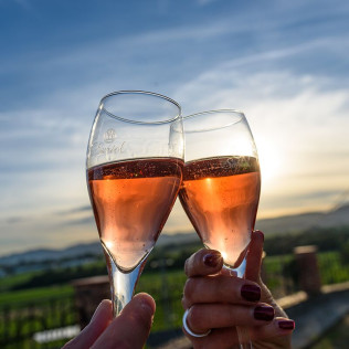 Visita a Celler Can Suriol con Cata de Vino, Cava y Aceite de Oliva para dos (Font-rubí, Barcelona)