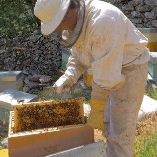Introducción a la Apicultura y Degustación de Productos de la Colmena para dos en Casa Martín (Fondos de Vega, Asturias)