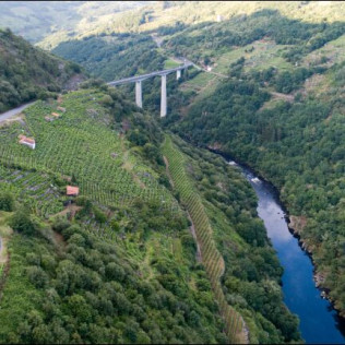 Escapada en Casa Grande de Rosende y Visita a Adegas Condado de Sequeiras de Ribeira Sacra con Cata de Vinos (Lugo) 