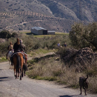 Escapada en Casa Rural con Paseo a Caballo (Granada)