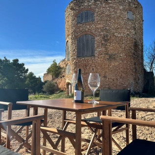 Tour & Tasting: Visita al Castell de Vilarodona y Cata de Vino para dos (Tarragona)