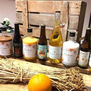 Visita a la Fábrica Gènesis & MAKMA con Cata de Cervezas, Crema de Licores y Vermuts con Maridaje (Valencia)