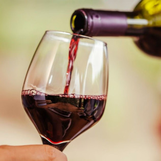 Cata de Aceite de Oliva AOVE y Vinos con el Sumiller Experto Pez Salvaje (Madrid)