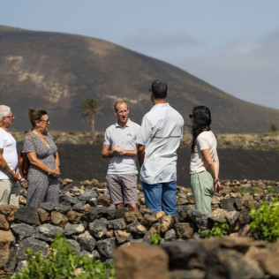 Visita a los Viñedos y a la Bodega Vulcano con Cata de Vinos Guiada (Lanzarote)