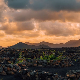 Visita Guiada por Viñedos al Atardecer y Cata con Maridaje en Finca Testeina - Bodegas Vega de Yuco (Masdache, Lanzarote)