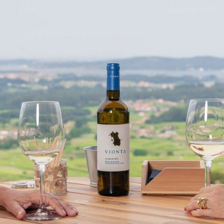 Visita a Bodegas Vionta con Cata de Vinos y Quesos para dos (Meaño, Pontevedra)