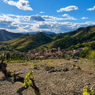 Escapada con Visita a las Viñas, Bodega y Cata La Caseta del Priorat I (Porrera, Tarragona)