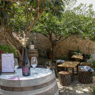 Visita a la Bodega El Jardí dels Sentits y Cata de Vinos en un Claustro Románico Milenario para dos (Sant Sebastià dels Gorgs, Barcelona)