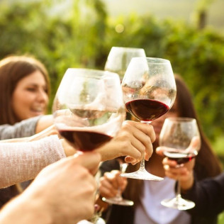 Visita a Bodega Barco Las Culebras y Cata de Vinos (Pesquera de Duero, Valladolid)