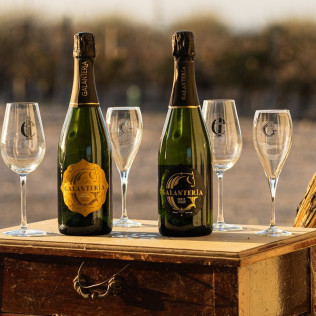 Cata de Vinos con Aperitivo en Albariza de la Torre (Jerez de la Frontera, Cádiz)
