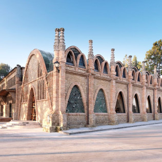Visita a las Cavas Codorníu con degustación de 2 cavas de alta gama (Sant Sadurní d'Anoia, Barcelona)