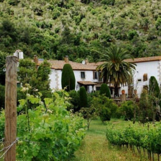 Visita Guiada al Celler Brugarol con Degustación de Vinos y Aceites y Comida para dos en Finca Bell-Lloc (Palamós, Girona)