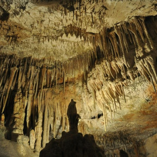Entrada a Las Cuevas de Génova (Palma, Mallorca)