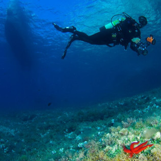 Curso de Buceo "Advanced Open Water Diver" en Calvià (Mallorca)