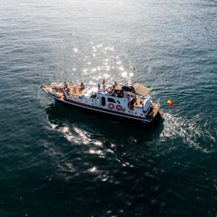 Paseo en Barco con Avistamiento de Delfines, Snorkel y Bebidas (Benalmádena, Málaga)