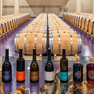 Cata Vertical de Reserva o Gran Reserva en Bodega Es Fangar Vins (Mallorca)