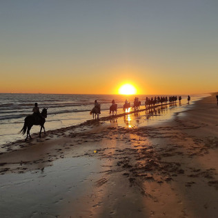Escapada con Desayuno en Hostal Santa con Paseo a Caballo al Atardecer para dos por las Playas de Doñana (Huelva)