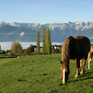 Escapada Romántica con Bañera Hidromasaje en Hotel Mirador (La Cerdanya, Lleida)