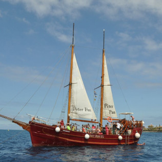 Excursión en Barco, Avistamiento de Cetáceos y Parada para Baño (Tenerife)